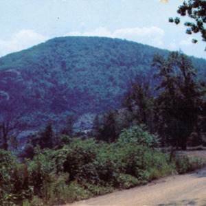 The Old Gap Road web.jpg