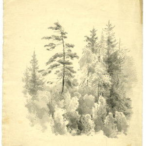 Sketch from Nature - Lehigh Gap, 1850