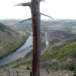 Lehigh Gap 5 web.jpg