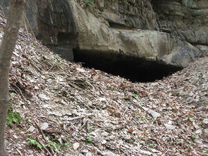 Tunnel Quarry web.jpg