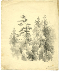 Lehigh Gap 1853.jpg